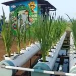 Whatsapp20image202020 06 0520at201.07.1220pm