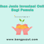 Pilihan20jenis20investasi20online